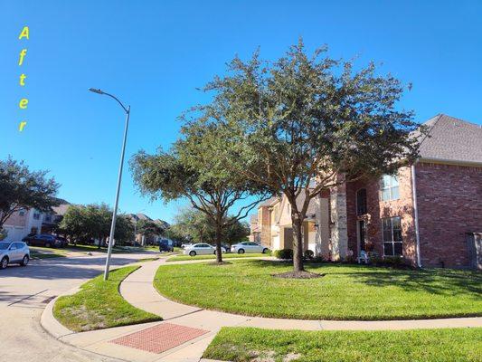 Grade A Grass Lawn Care