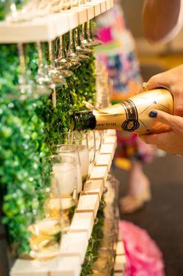 Adams Lane Photography