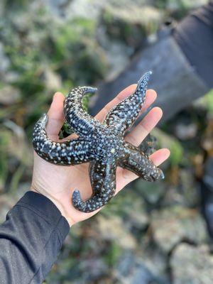 Kachemak Bay Wilderness Lodge