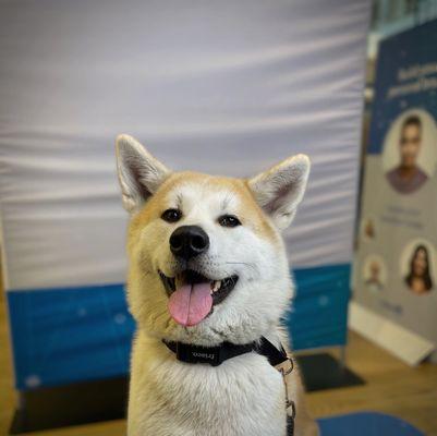 @silvia_inu 's linkedin headshot