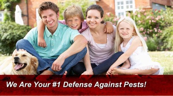 Target Termite & Pest Control