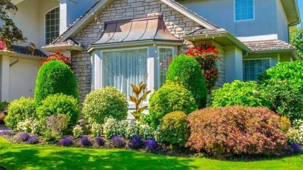 Landscaping By Angel Rivera