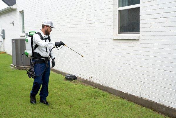 Pest Control services