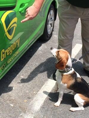 Gregory Pest Solutions