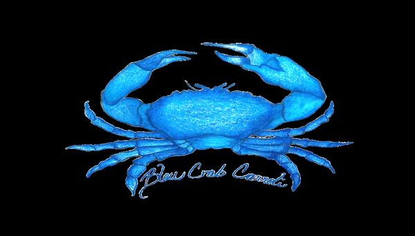 Bleu Crabe Cannoli