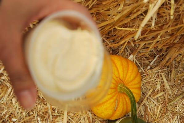 Pumpkin ice cream made @ Spring Hill Farm & Creamery