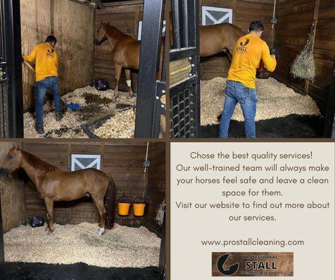 Professional Stall Cleaning and Services
