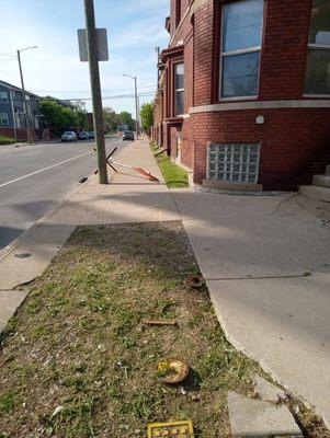 Zigzag Cuts Landscaping