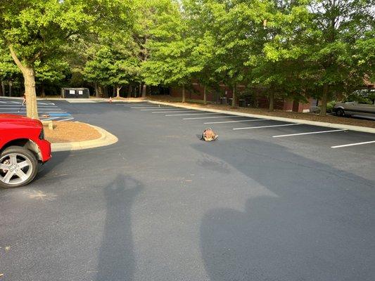 A1 Seal Coating and Roofing