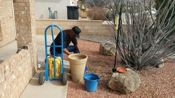 My wonderful bird feeder pole system is up. I truly appreciated all the advise, help and guidance in getting the correct feed, feeders.