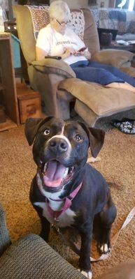 Spanky's Tobacco World