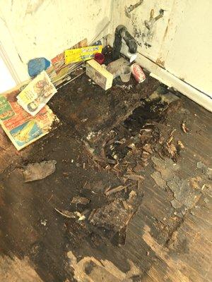 Greg McClure Home Inspections