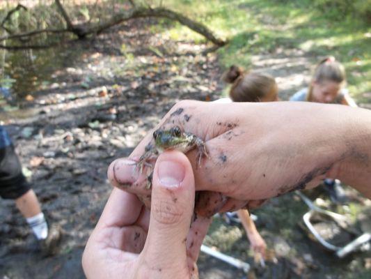 Junior Ranger Summer Camp