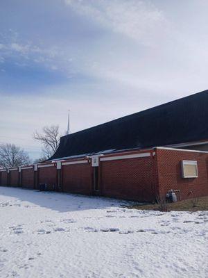 Alpha Mitigation And Home Solutions