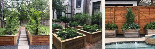 Desert Roots Garden Consulting