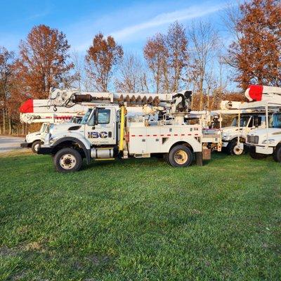 IBC Electric Tree Services