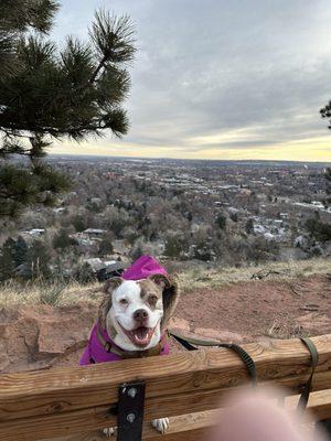 Community Foot and Ankle Clinic