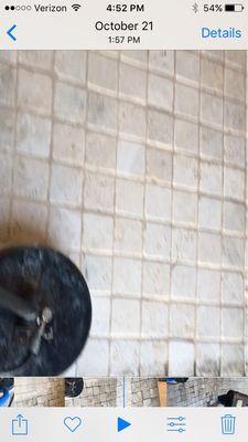 Absolute Best Carpet Cleaning