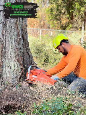 GM 2 Tree Service