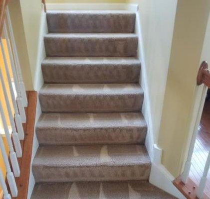 All American Carpet Cleaning