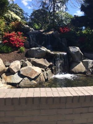 Beautiful waterfall outside the front door