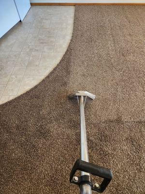 Carbonated Carpet Cleaning