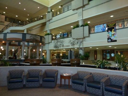 Burton Danoff MD, FACOG