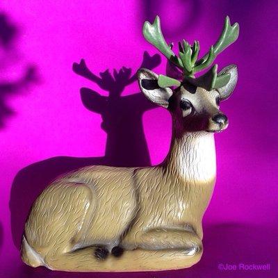 "Plantimal" Photo Credit to Succulent Zoo's Facebook: facebook.com/pg/TheElega…