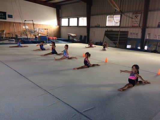 Pacific Gymnastics