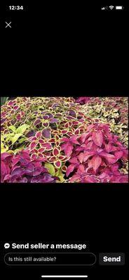 All Around Landscape