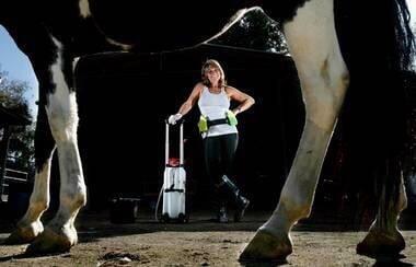 Crudbusters Professional Sheath Cleaning