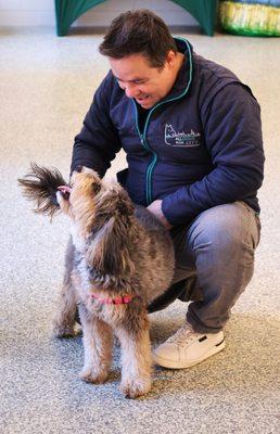 All Dogs in the City - Greenpoint