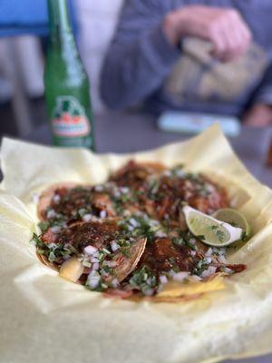 El Pastor Es Mi Señor