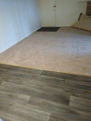 Adolfo Carpet Installation Company