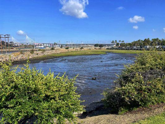 Golden Shore Marine Preserve