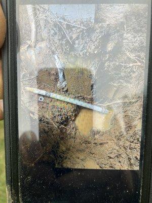 Seegars Fence Company