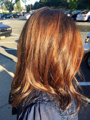 The Stylist & the Barber