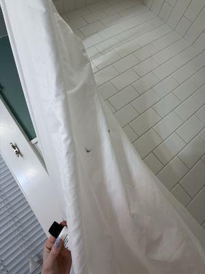 Hidden Villa Cottages