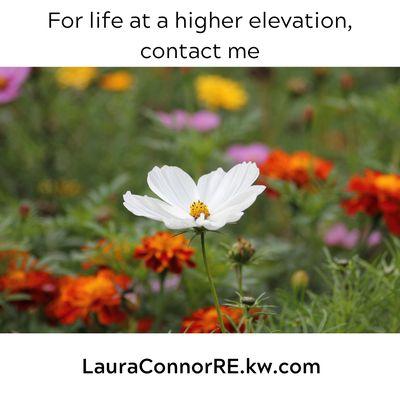 Laura Connor - Keller Williams