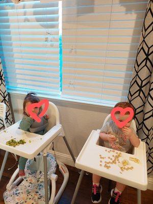 Little Cupcakes Family Daycare