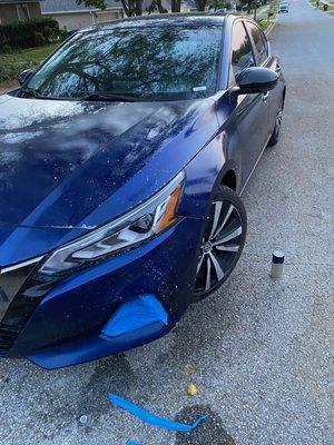 Some before, and Afters had to reattach the bumper and repaint the hood