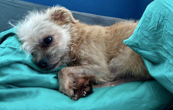 My Kiki lounging around.