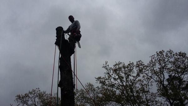 Taylor's Tender Care