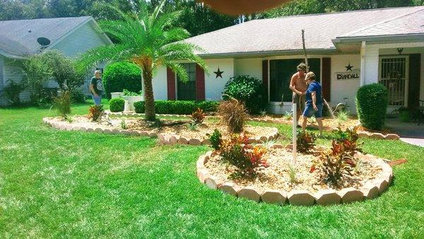 A Whole Hauling & Tree Service