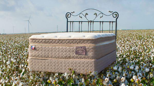 Cantwell Mattress Company