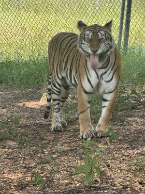 Cedar Hill Animal Sanctuary