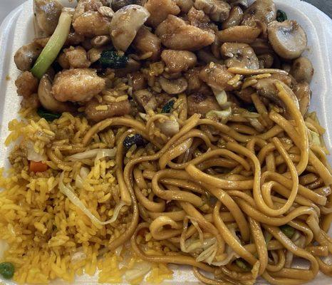 Mushroom Chicken with Half Rice and Half Lo Mein.