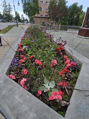 Eisenhower Alaska Statehood Monument