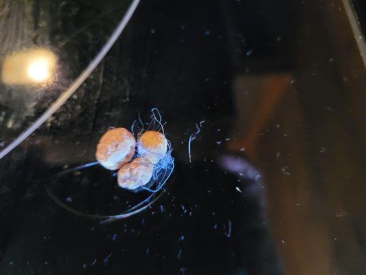 Reese's puffs with clam to be dog food