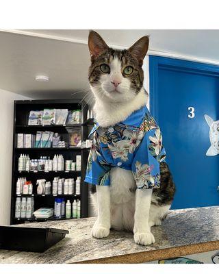 Rohnert Park Veterinary Clinic